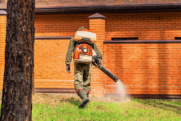 Trusted Rodent Control service in New Chicago, IN - Nex Pest Control